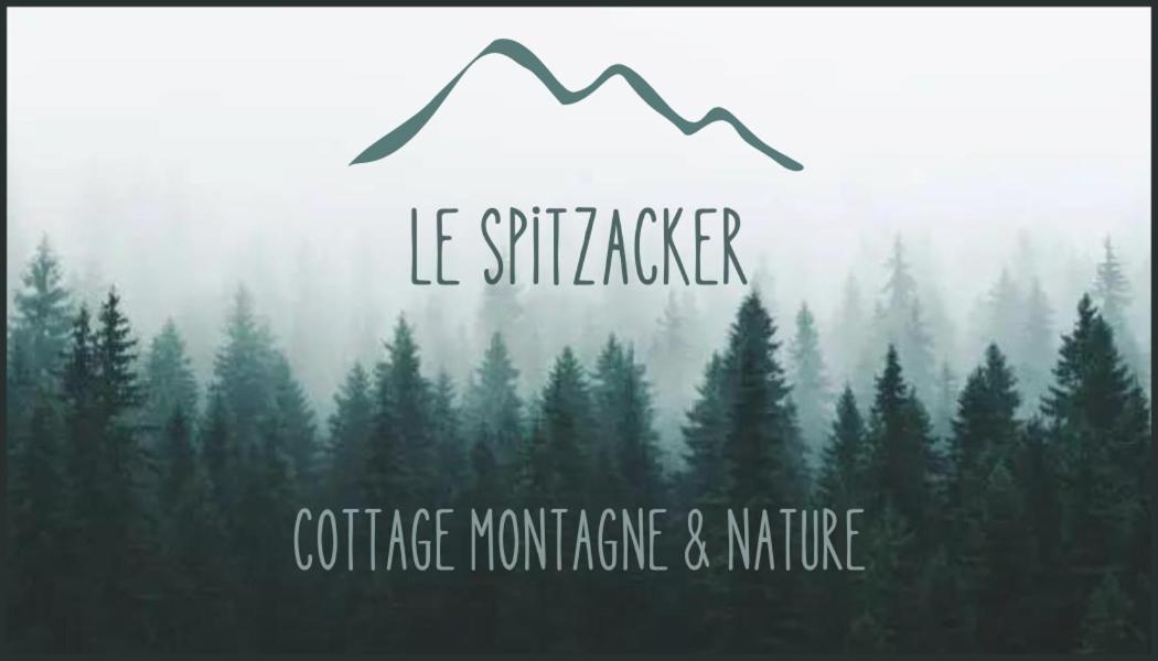 Le Spitzacker Gite Familial Au Calme Husseren-Wesserling エクステリア 写真